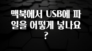 맥북에서 USB에 파일을 어떻게 넣나요?
