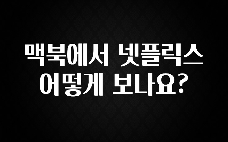 맥북에서 넷플릭스 어떻게 보나요?