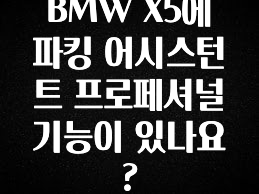 BMW X5에 파킹 어시스턴트 프로페셔널 기능이 있나요?