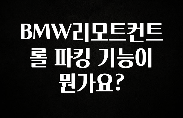 BMW리모트컨트롤 파킹 기능이 뭔가요?