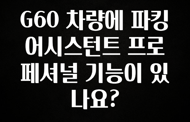 G60 차량에 파킹 어시스턴트 프로페셔널 기능이 있나요?