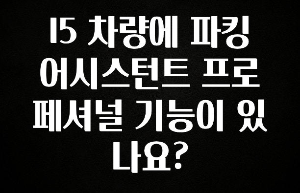 I5 차량에 파킹 어시스턴트 프로페셔널 기능이 있나요?