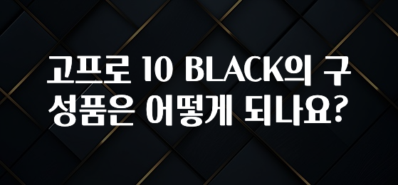 고프로 10 BLACK의 구성품은 어떻게 되나요?