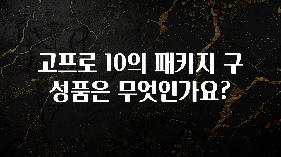 고프로 10의 패키지 구성품은 무엇인가요?