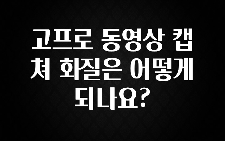 고프로 동영상 캡쳐 화질은 어떻게 되나요?