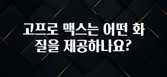 고프로 맥스는 어떤 화질을 제공하나요?