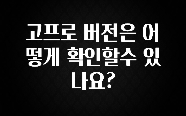 고프로 버전은 어떻게 확인할수 있나요?
