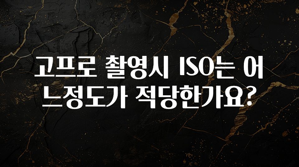 고프로 촬영시 ISO는 어느정도가 적당한가요?