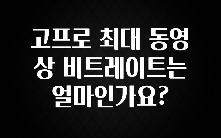 고프로 최대 동영상 비트레이트는 얼마인가요?