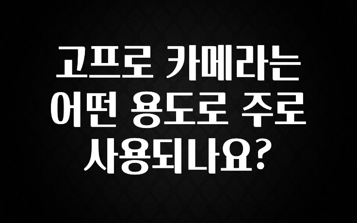 고프로 카메라는 어떤 용도로 주로 사용되나요?