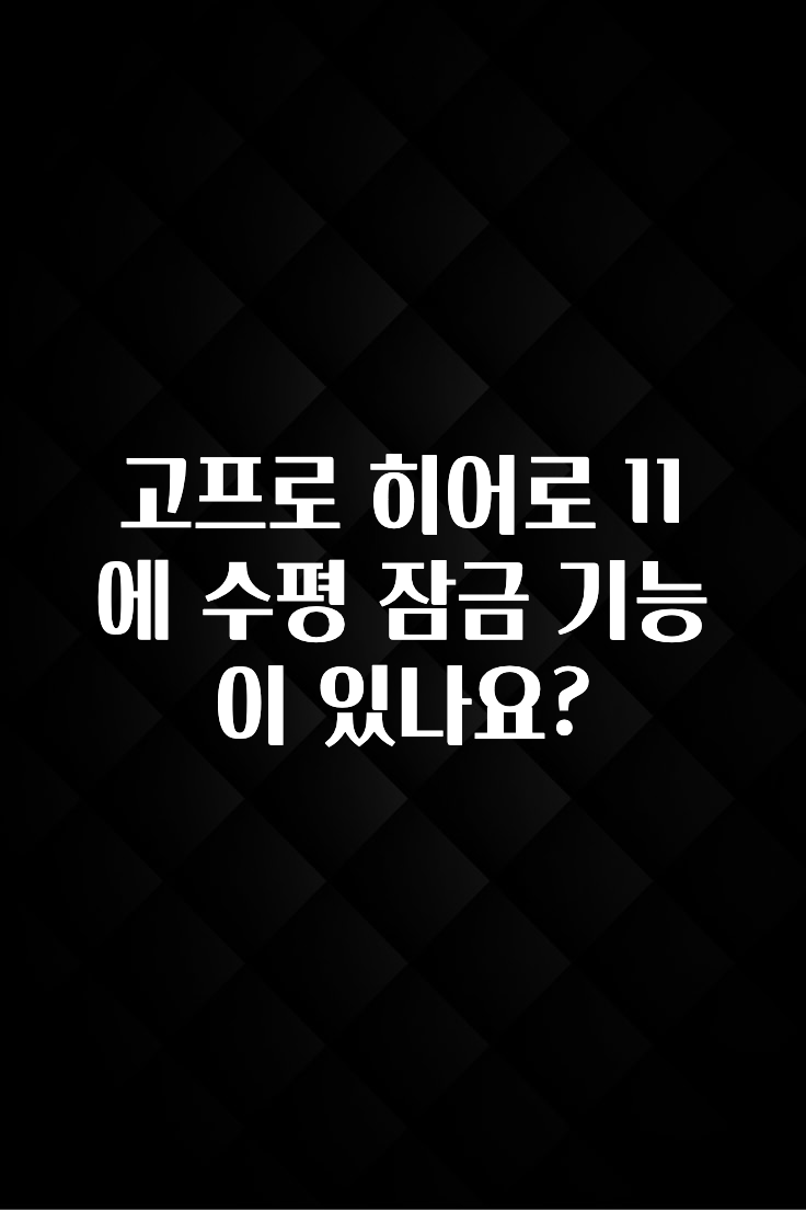 고프로 히어로 11에 수평 잠금 기능이 있나요?