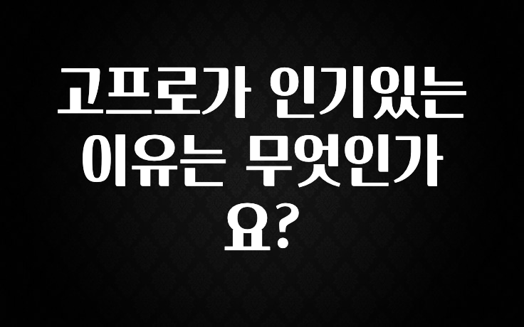 고프로가 인기있는 이유는 무엇인가요?