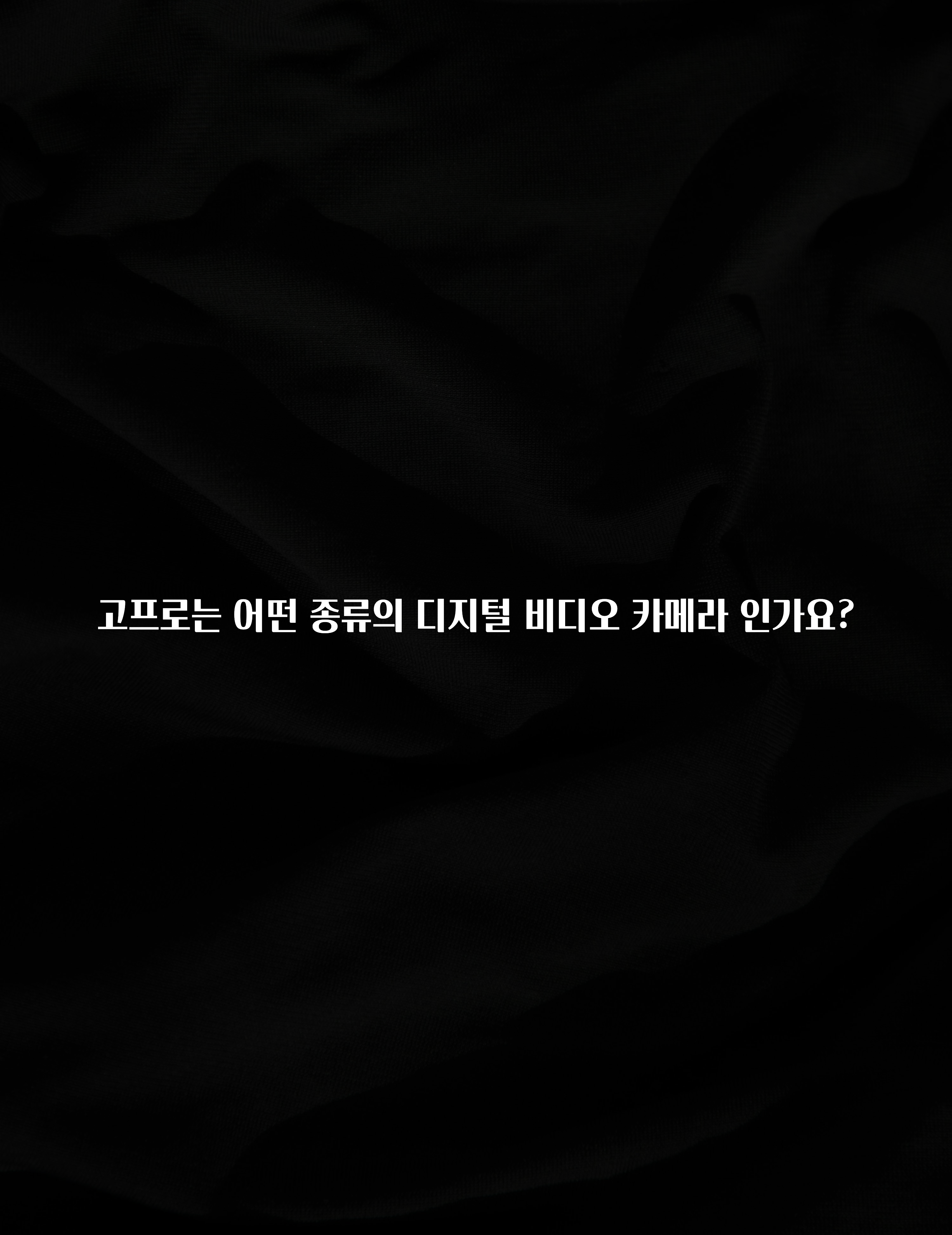 고프로는 어떤 종류의 디지털 비디오 카메라 인가요?