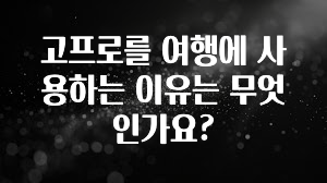 고프로를 여행에 사용하는 이유는 무엇인가요?