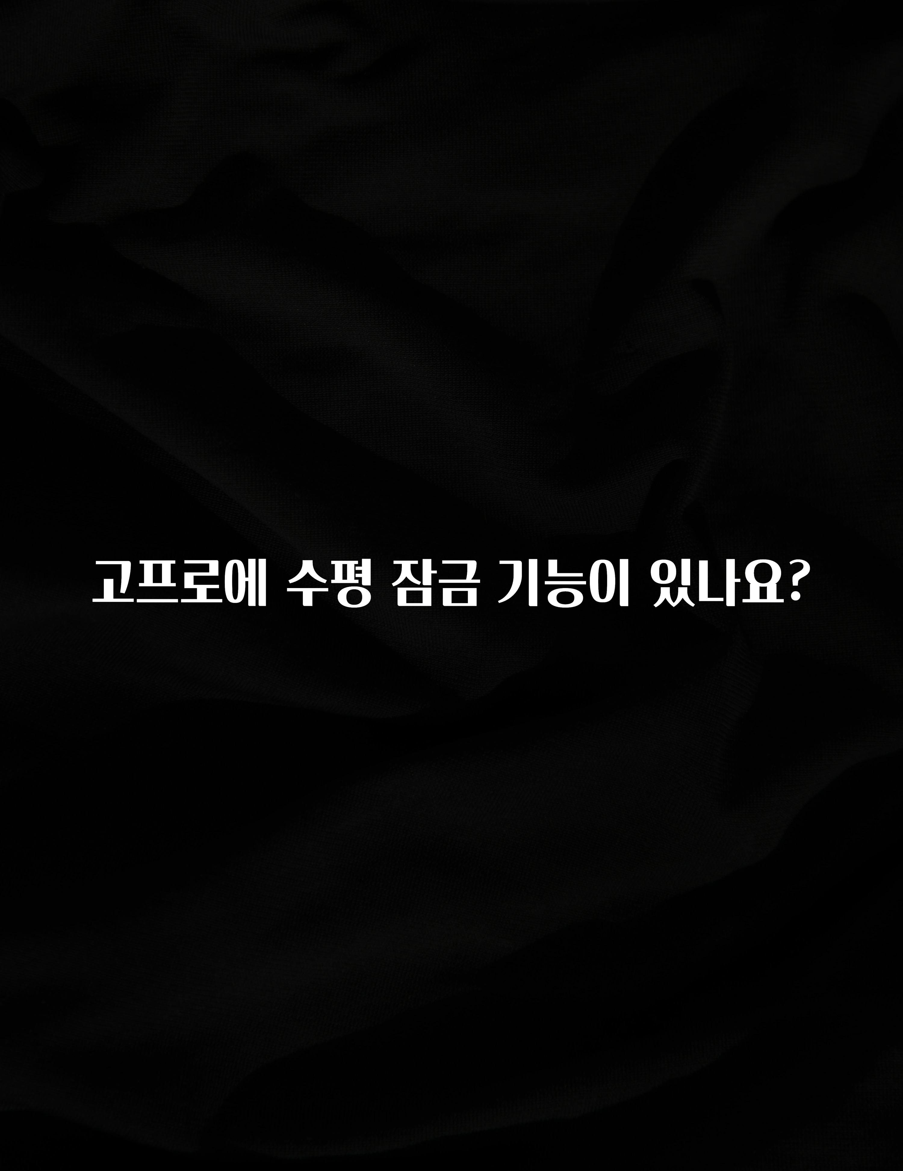 고프로에 수평 잠금 기능이 있나요?