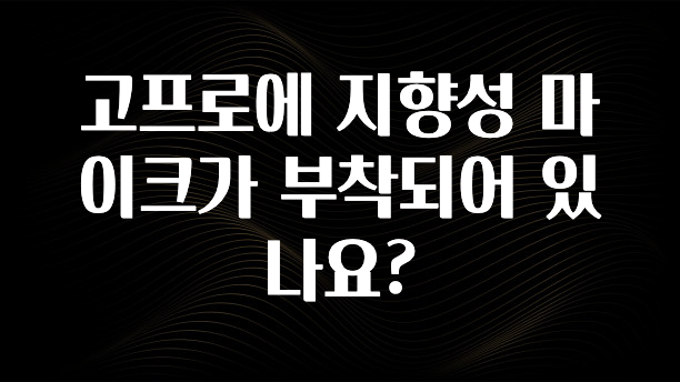 고프로에 지향성 마이크가 부착되어 있나요?