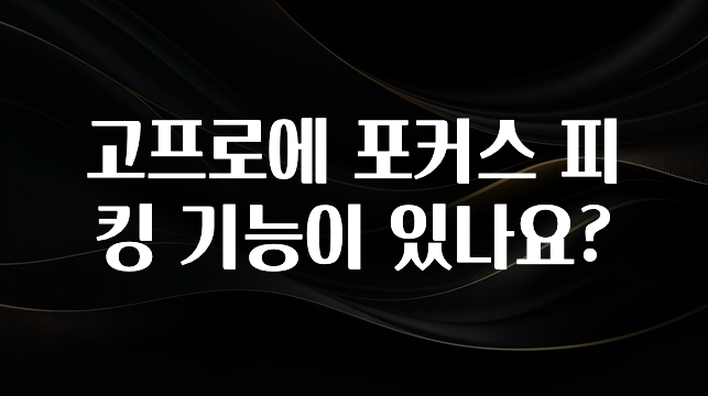 고프로에 포커스 피킹 기능이 있나요?