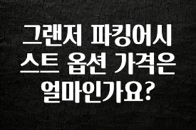 그랜저 파킹어시스트 옵션 가격은 얼마인가요?