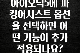 아이오닉5에 파킹어시스트 옵션을 선택하면 어떤 기능이 추가 적용되나요?