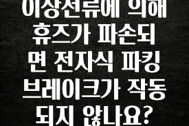 이상전류에 의해 휴즈가 파손되면 전자식 파킹브레이크가 작동되지 않나요?