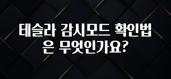 테슬라 감시모드 확인법은 무엇인가요?