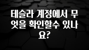 테슬라 계정에서 무엇을 확인할수 있나요?