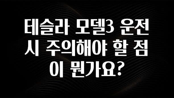 테슬라 모델3 운전 시 주의해야 할 점이 뭔가요?