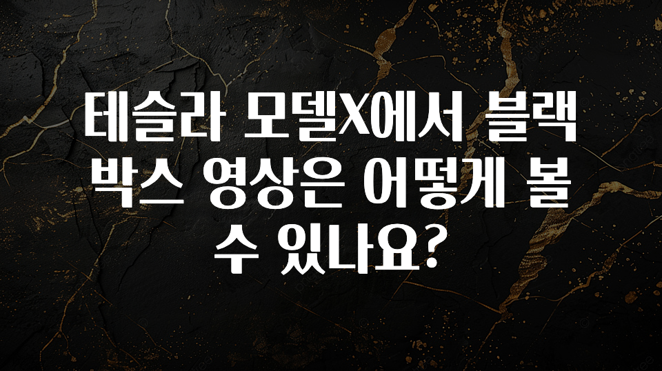 테슬라 모델X에서 블랙박스 영상은 어떻게 볼 수 있나요?