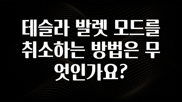 테슬라 발렛 모드를 취소하는 방법은 무엇인가요?