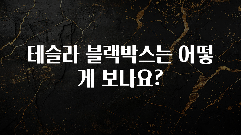 테슬라 블랙박스는 어떻게 보나요?