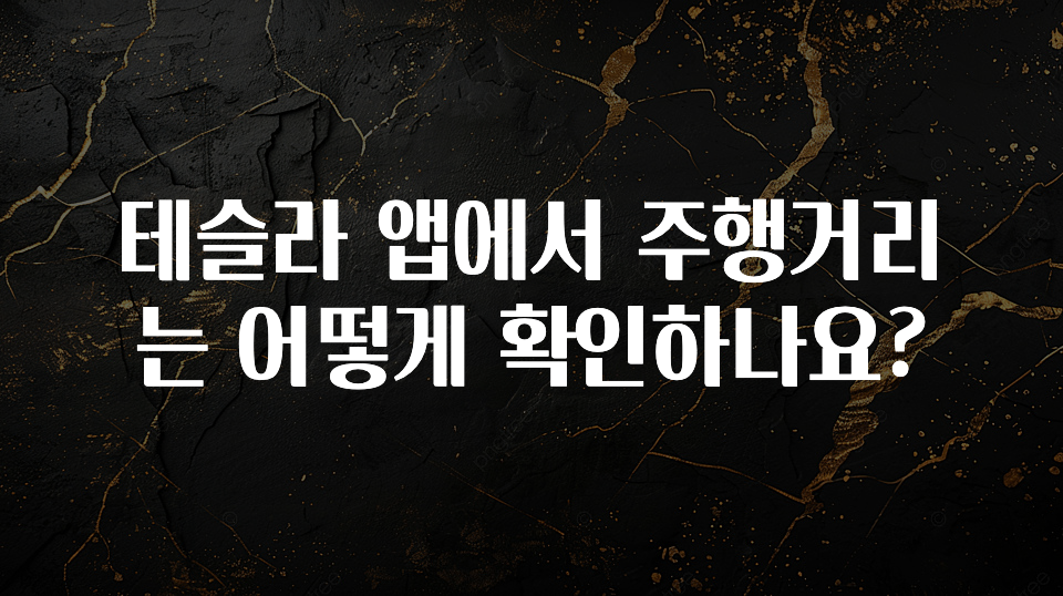 테슬라 앱에서 주행거리는 어떻게 확인하나요?