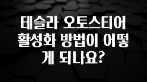 테슬라 오토스티어 활성화 방법이 어떻게 되나요?
