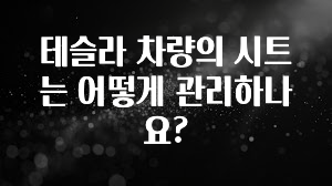 테슬라 차량의 시트는 어떻게 관리하나요?