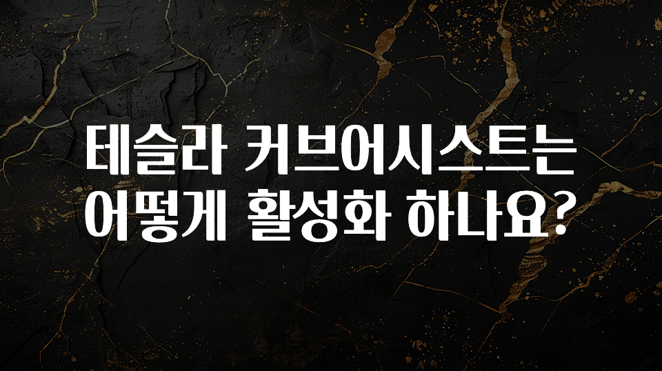 테슬라 커브어시스트는 어떻게 활성화 하나요?