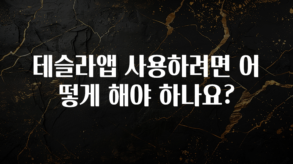 테슬라앱 사용하려면 어떻게 해야 하나요?