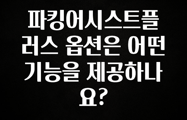 파킹어시스트플러스 옵션은 어떤 기능을 제공하나요?