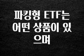 파킹형 ETF는 어떤 상품이 있으며